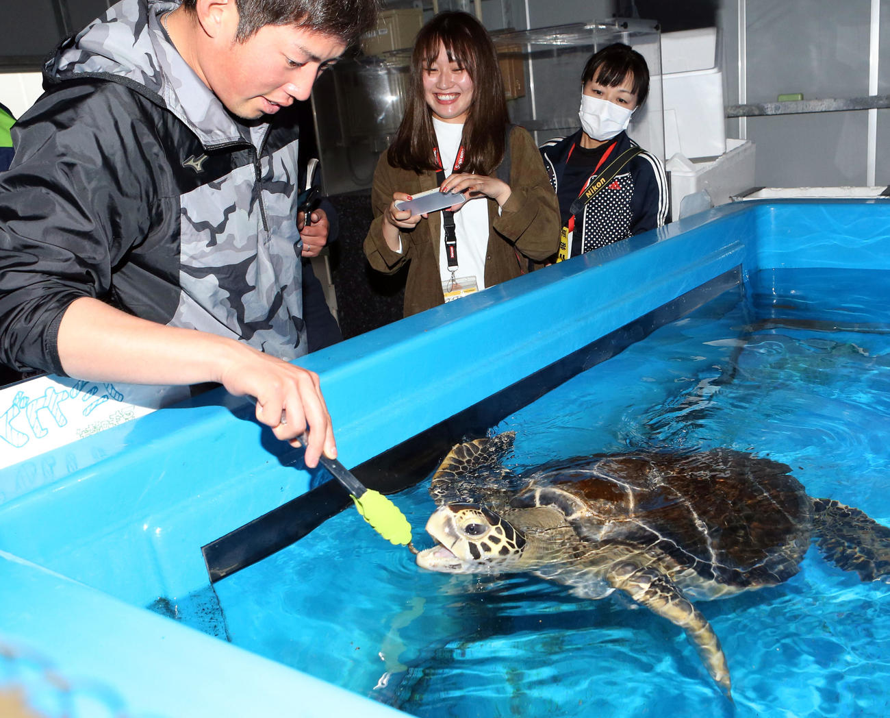 ウミガメにエサを与える大西（撮影・狩俣裕三）
