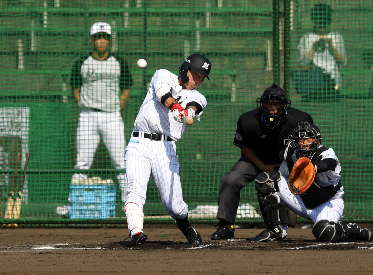 シート打撃で右翼線へ二塁打を放つロッテ安田（撮影・横山健太）