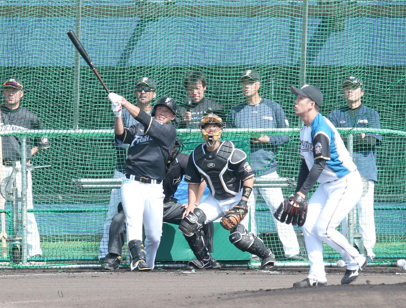 斎藤（右）から右越え本塁打を放つ日本ハム王柏融（撮影・黒川智章）