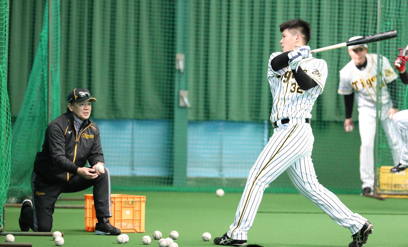 打撃練習を行う井上（2020年2月1日撮影）