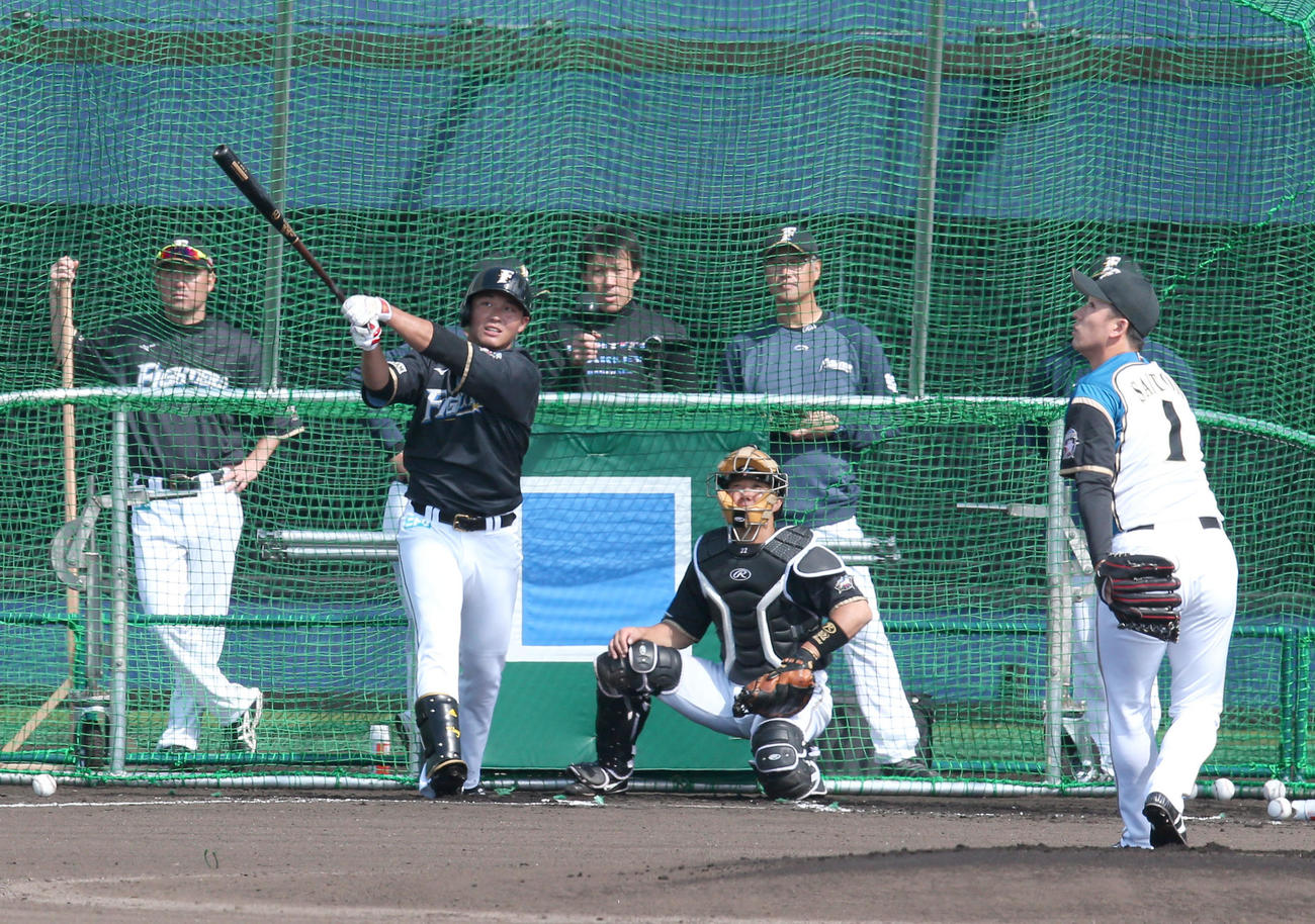 斎藤（右）から右越え本塁打を放つ日本ハム王柏融（撮影・黒川智章）