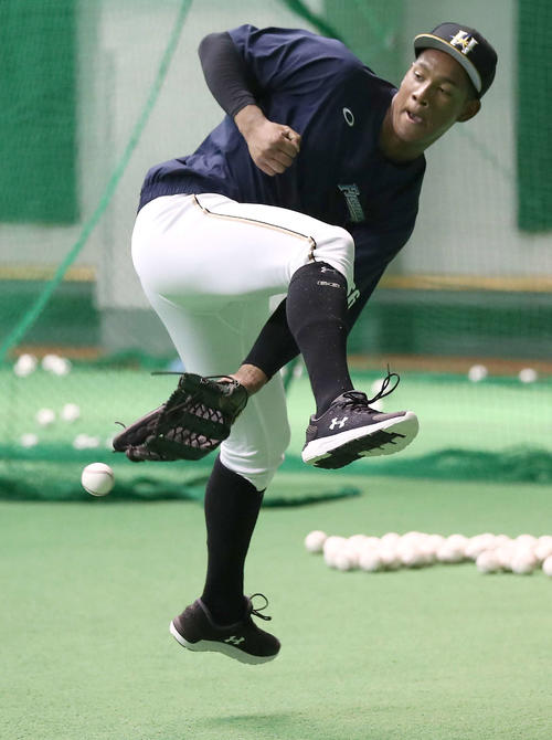 股の間からトスする日本ハム万波（撮影・黒川智章）