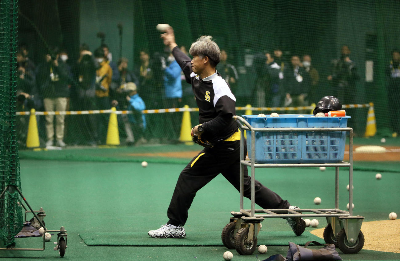 早出特打で打撃投手を務める城島球団会長付特別アドバイザー（撮影・栗木一考）