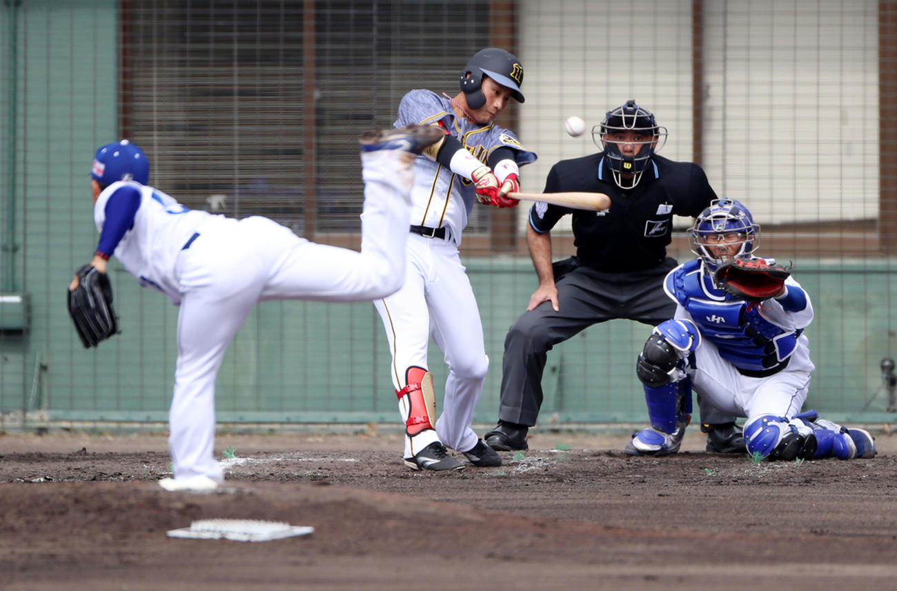 中日対阪神　2回表阪神2死、木浪は右中間越え二塁打を放つ（撮影・加藤哉）