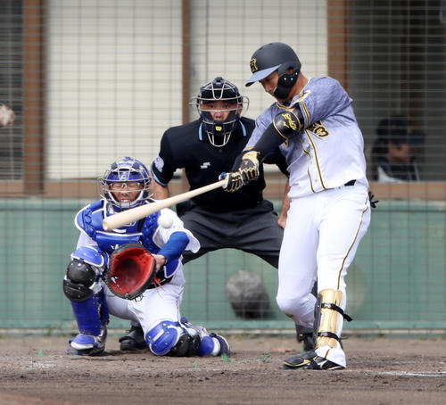 中日対阪神　4回表阪神1死、大山は左前打を放つ（撮影・加藤哉）