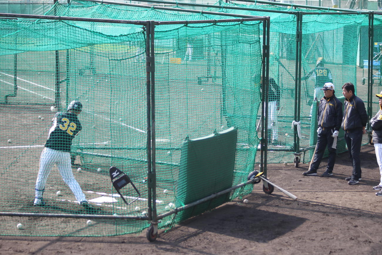 阪神ルーキー井上のプロ初の屋外フリー打撃をケージ裏からチェックする和田TAらスタッフ
