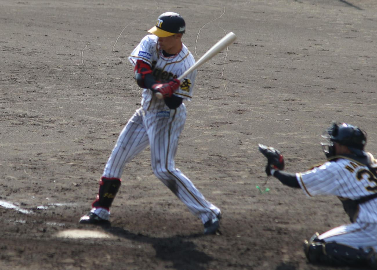 プロ初のシート打撃で快音を響かせた阪神ルーキーの遠藤