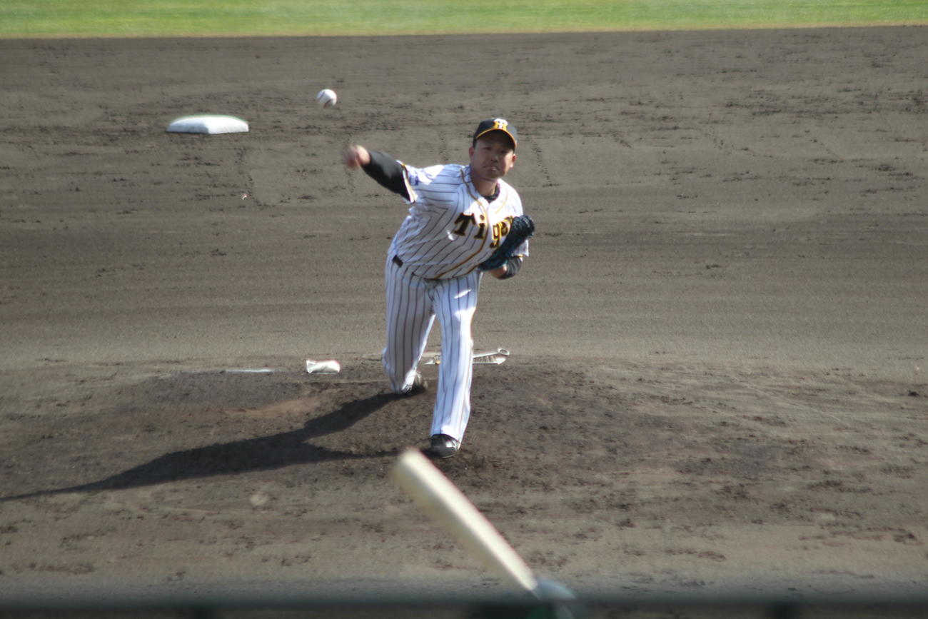 今季初のシート打撃に登板し、奪三振を量産した阪神斎藤