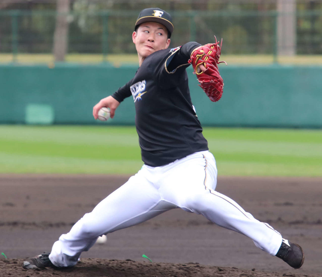 打撃投手を務める日本ハム吉田輝（撮影・山崎純一）
