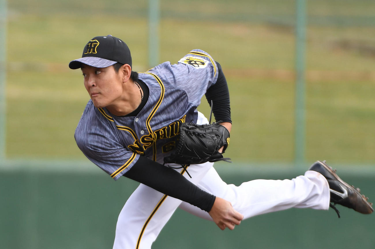練習試合・中日対阪神　5回裏、登板する阪神・望月惇志（撮影・森本幸一）