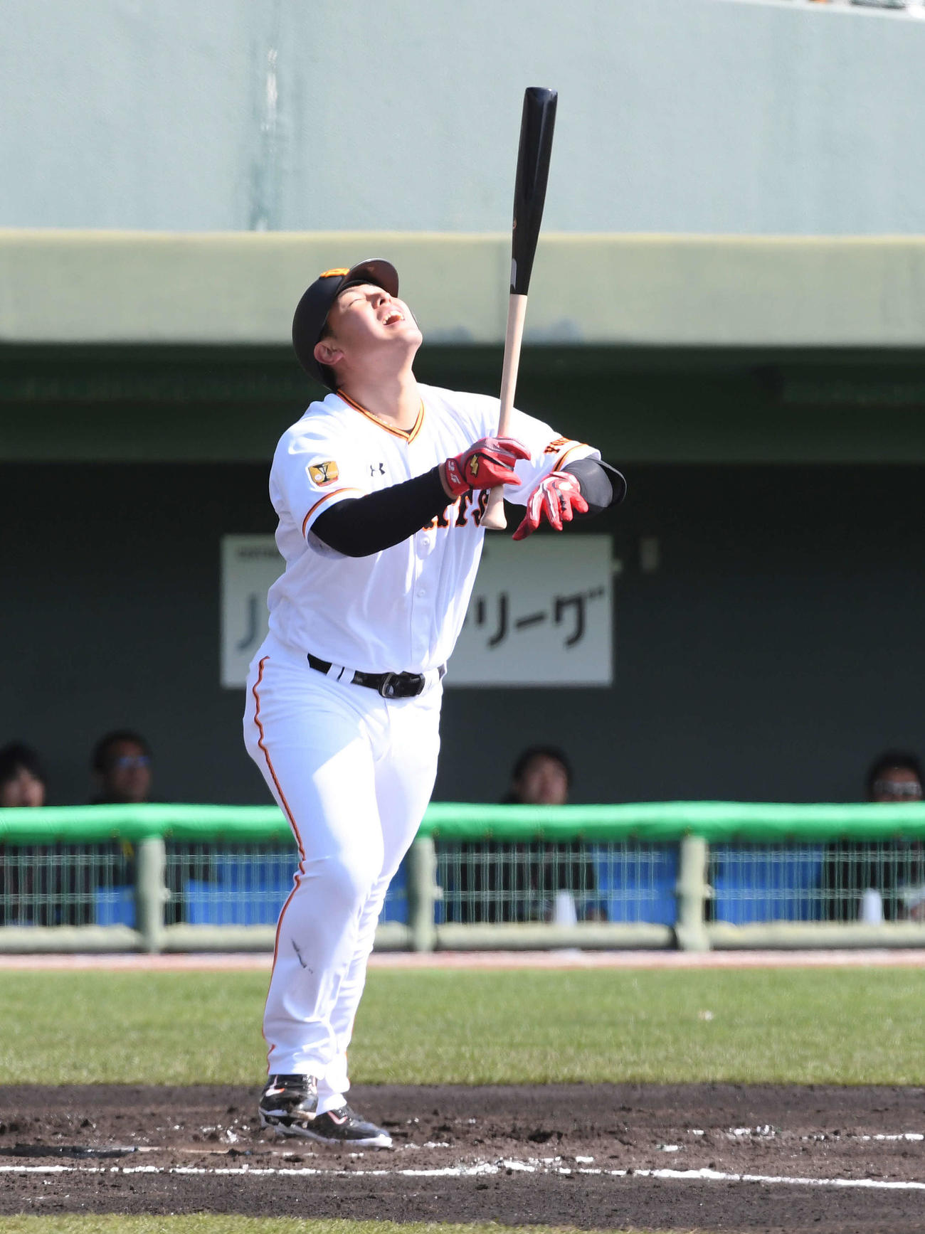 紅白戦　2回裏白組無死、一飛に倒れる岡本（撮影・たえ見朱実）