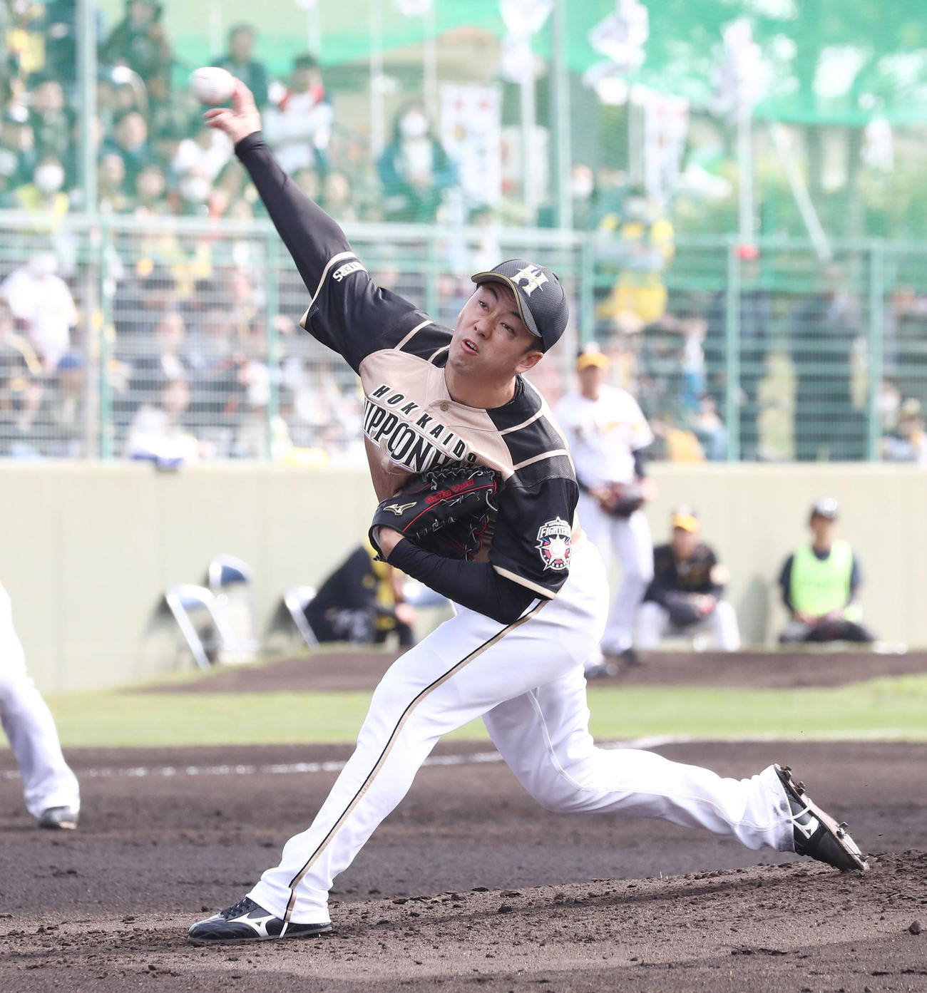 阪神対日本ハム　日本ハム先発の斎藤（撮影・黒川智章）