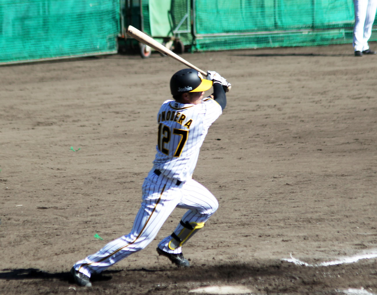 阪神小野寺はシート打撃で本塁打を放ち猛アピール（撮影・酒井俊作）