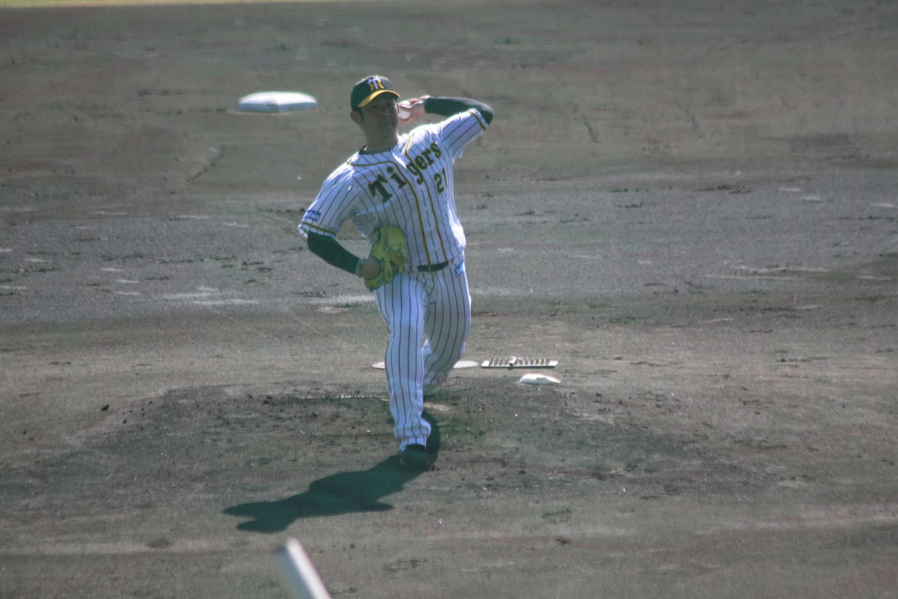 阪神岩田がシート打撃登板で感触を確かめながら投げ込んだ