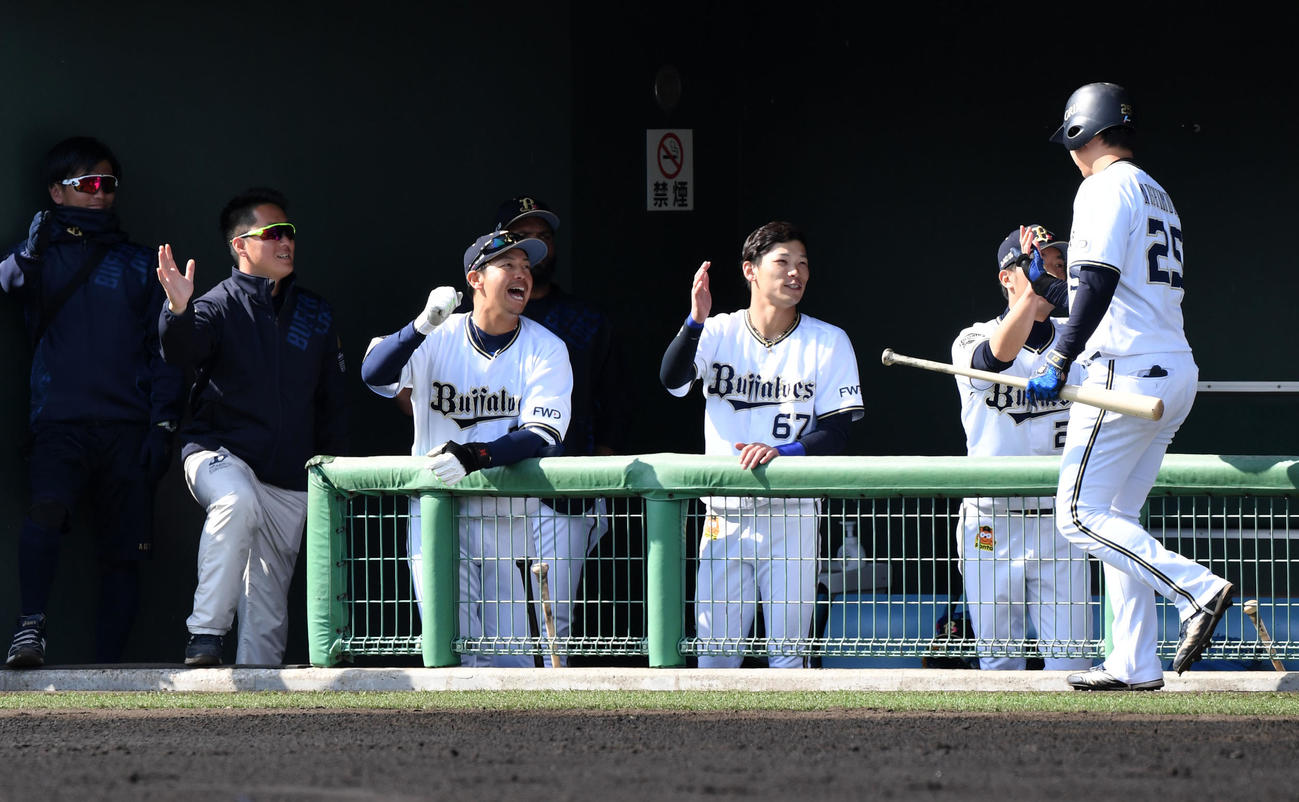 紅白戦　1回裏白組無死、西村は先制の左越え本塁打を放ちナインの出迎えを受ける（撮影・前岡正明）