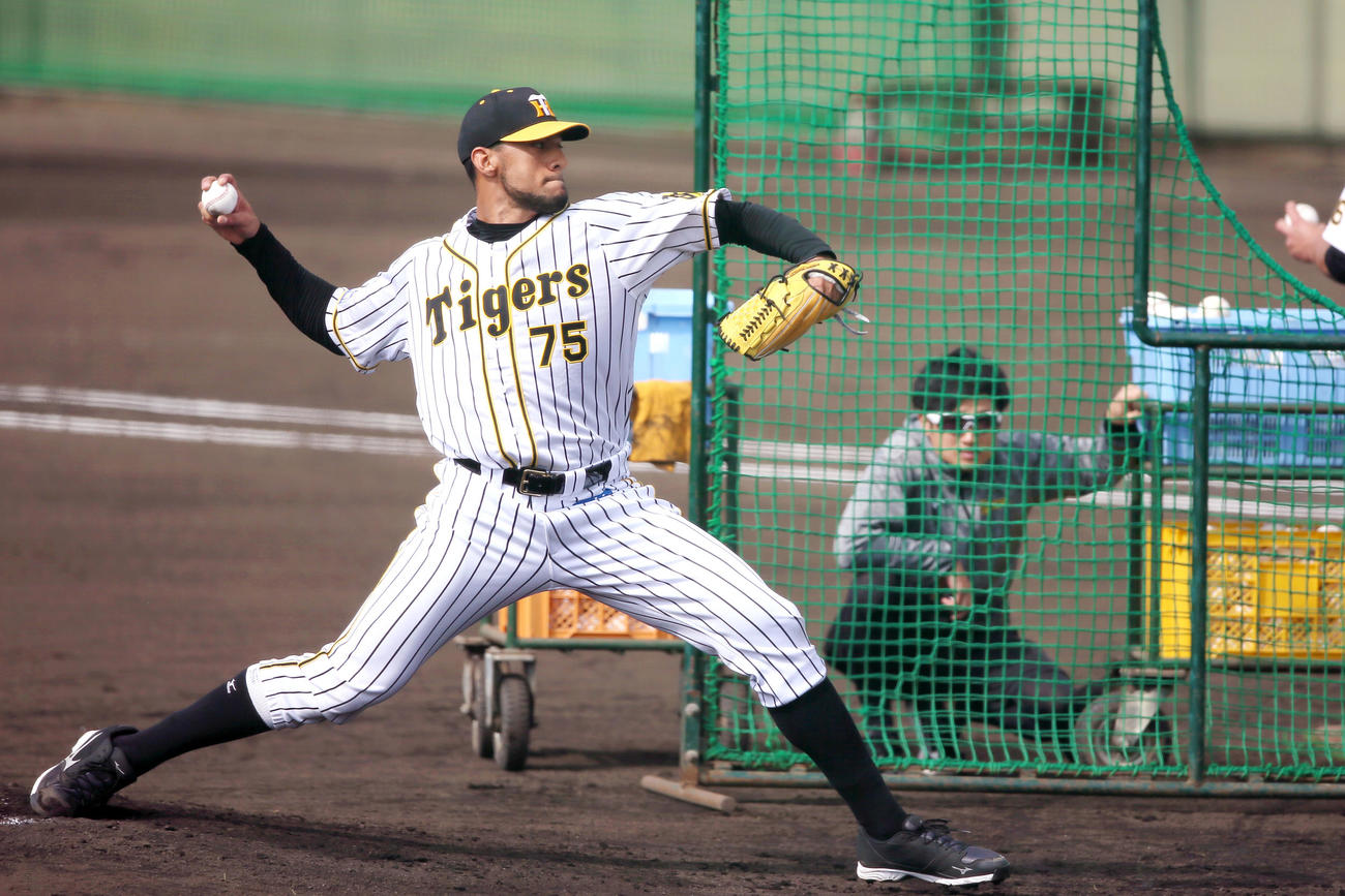 阪神スアレス（2020年2月8日撮影）