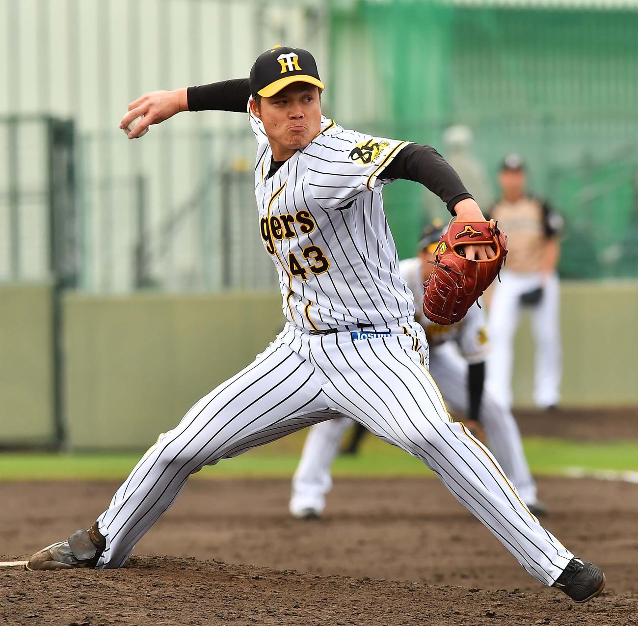 阪神対日本ハム練習試合　阪神4番手の守屋（撮影・上田博志）