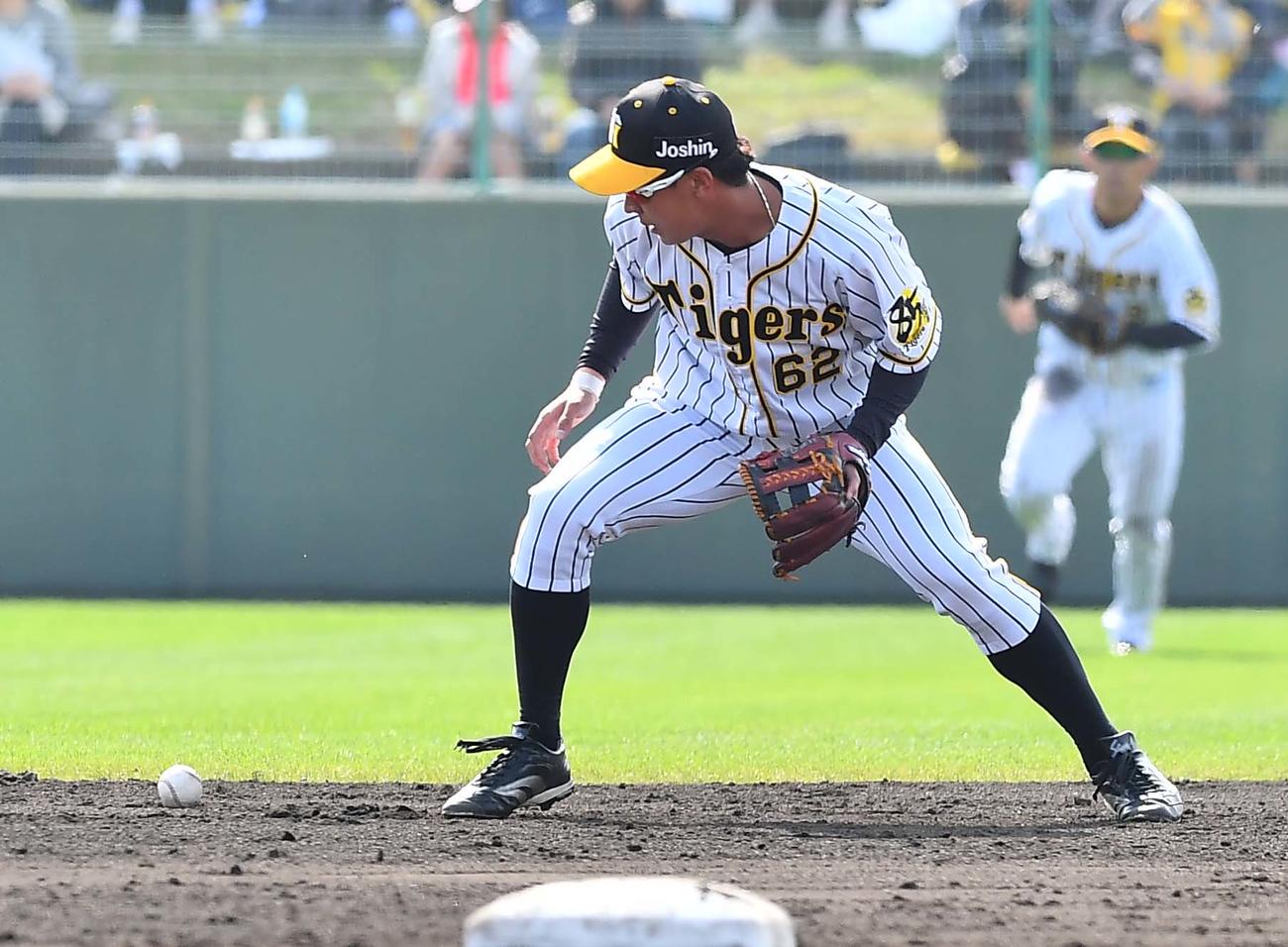 阪神対日本ハム練習試合　5回表日本ハム無死二塁、宇佐見の打球をエラーする植田海（撮影・上田博志）