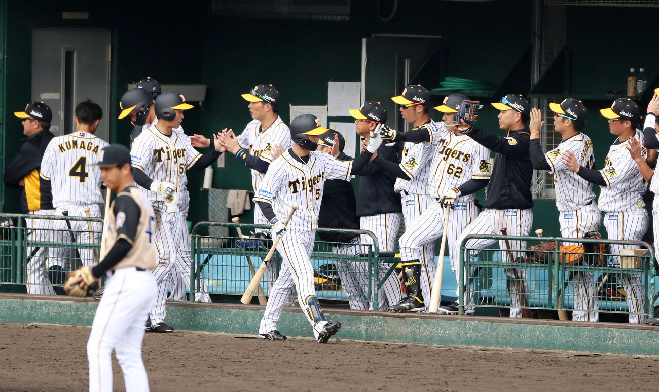 6回裏阪神1死二塁、近本は右越え2点本塁打を放ちベンチのナインとタッチする（撮影・加藤哉）