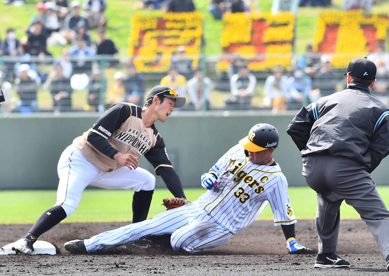 阪神対日本ハム練習試合　2回裏阪神無死一塁、二盗に成功する糸原（撮影・上田博志）