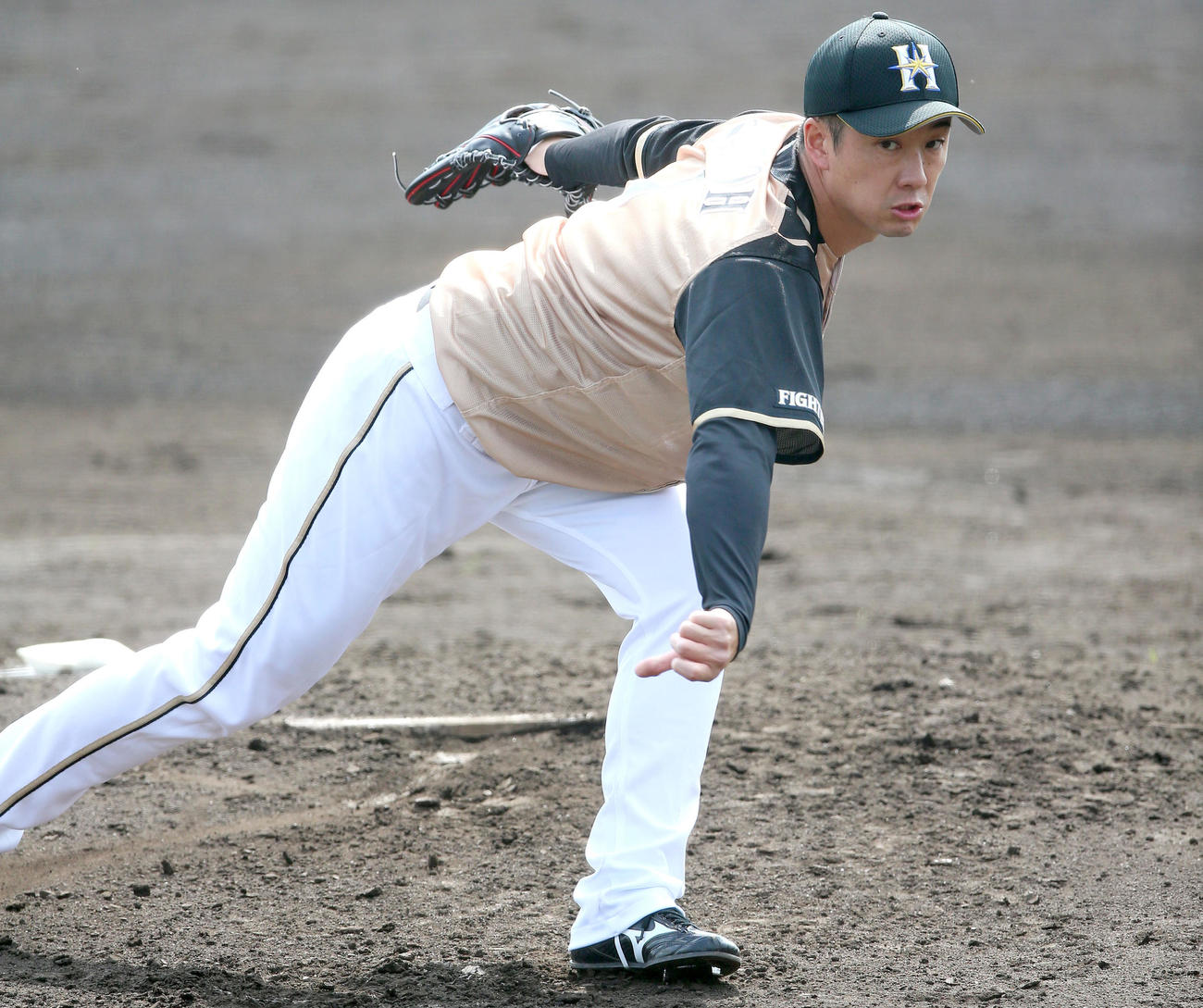 阪神対日本ハム　日本ハム先発の斎藤佑（撮影・上山淳一）
