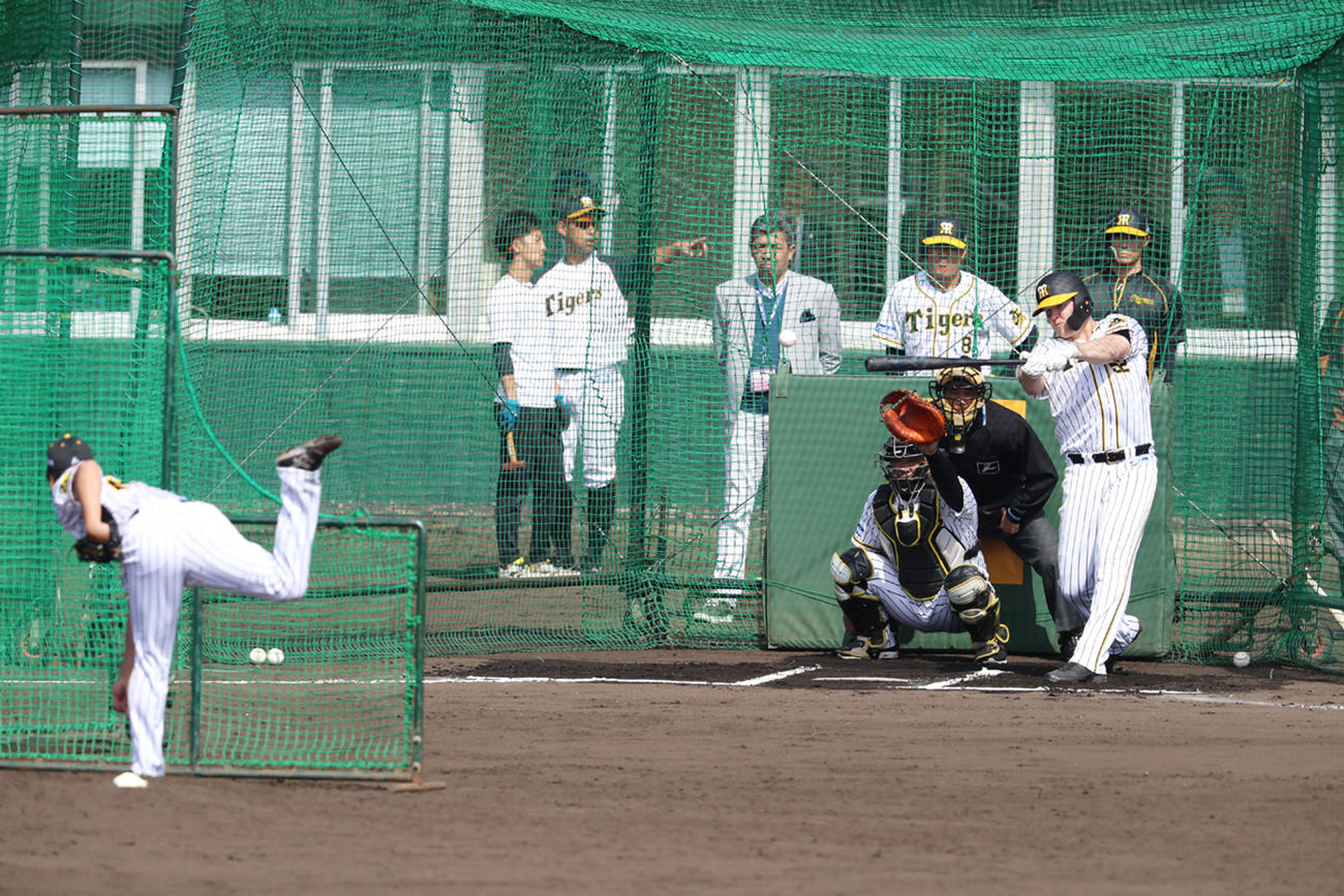 打撃投手に登板した藤川（左）から中前に安打性の当たりを放つサンズ（撮影・加藤哉）