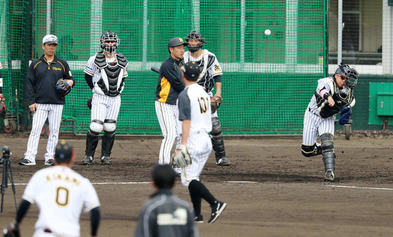 けん制練習で二塁へ送球する梅野隆太郎（撮影・加藤哉）