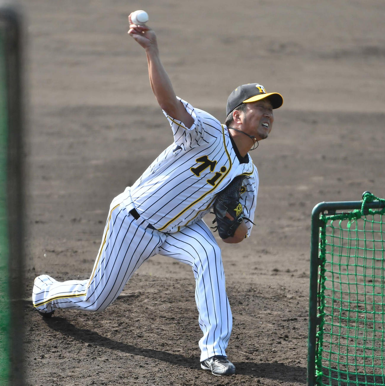 バッティングピッチャーを務める藤川（撮影・上田博志）