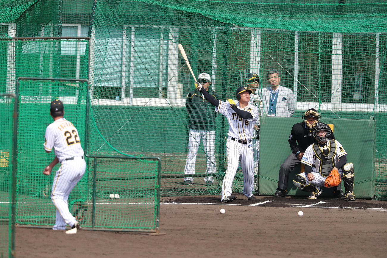 フリー打撃で対戦した藤川を打ちあぐねる福留（撮影・加藤哉）