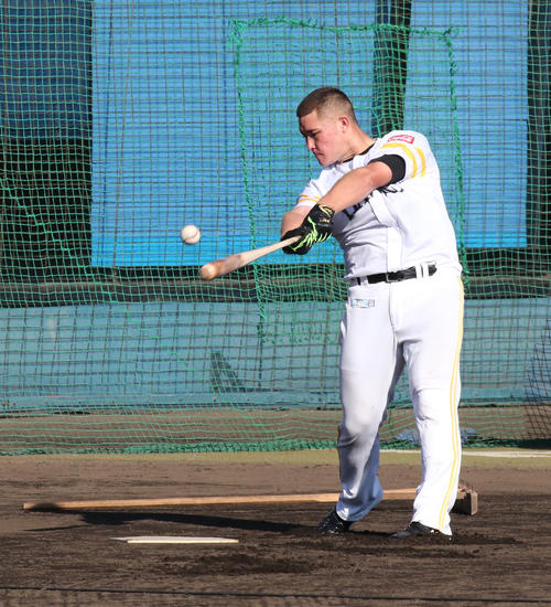 パーラはパワーなさそう 評論家ぶっちゃけトーク プロ野球 日刊スポーツ