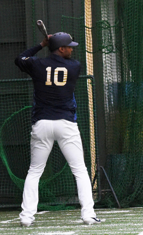 パーラはパワーなさそう 評論家ぶっちゃけトーク プロ野球 日刊スポーツ