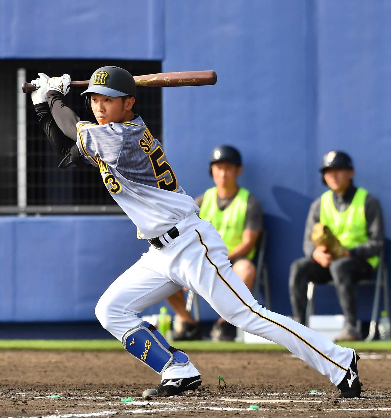 日本ハム対阪神練習試合　7回表阪神無死満塁、左前に適時打を放つ島田海吏（撮影・上田博志）