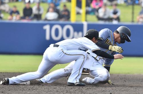 日本ハム対阪神練習試合　3回表阪神2死一塁、二盗に成功する高山俊（撮影・上田博志）