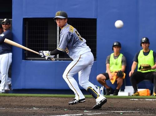 日本ハム対阪神練習試合　4回表阪神2死二、三塁、近本光司の打ったファウルが江越大賀に当たる（撮影・上田博志）