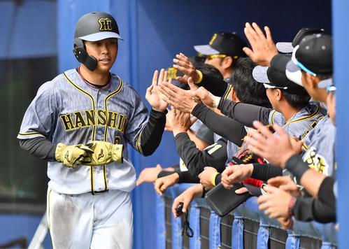 日本ハム対阪神練習試合　2回表阪神1死一、二塁、梅野隆太郎の中前先制適時打で生還しナインとハイタッチする高山俊（撮影・上田博志）