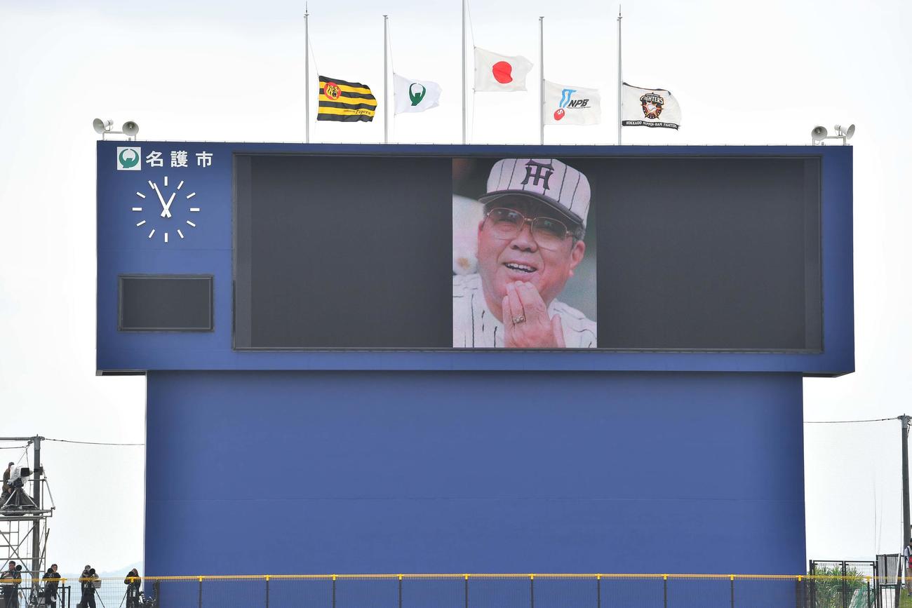 日本ハム対阪神練習試合　バックスクリーンには野村克也氏の笑顔が映しだされた（撮影・上田博志）