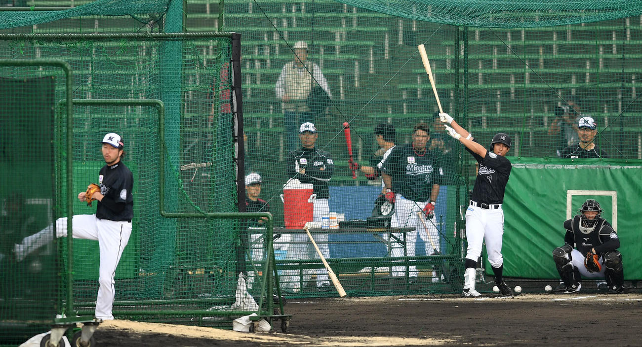 フリー打撃で快音を響かせるロッテ福田秀。投手石川（撮影・横山健太）
