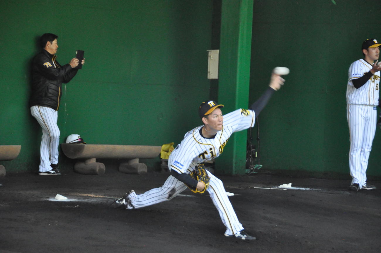 阪神ドラフト3位及川雅貴投手（18＝横浜）は初めて捕手を座らせブルペン投球を行う