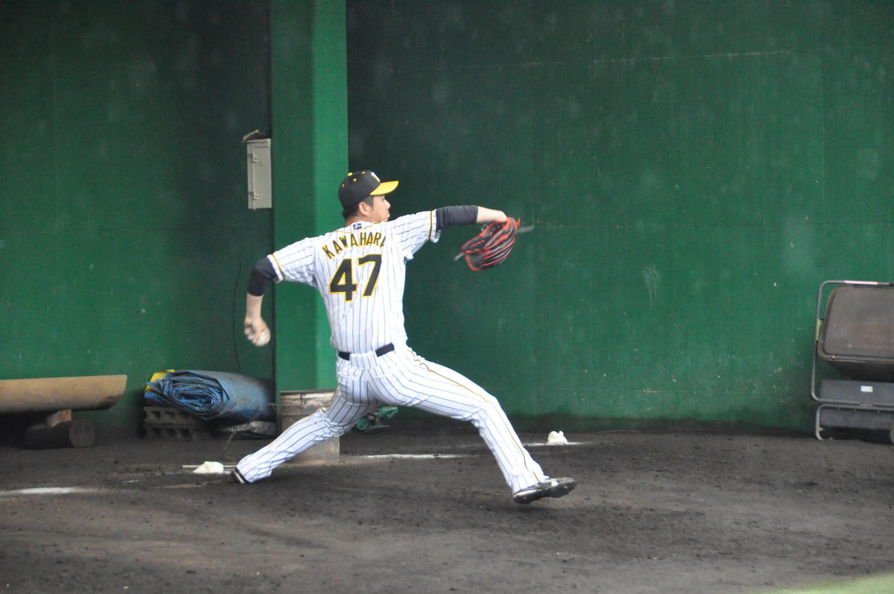 阪神川原はブルペン投球を行う
