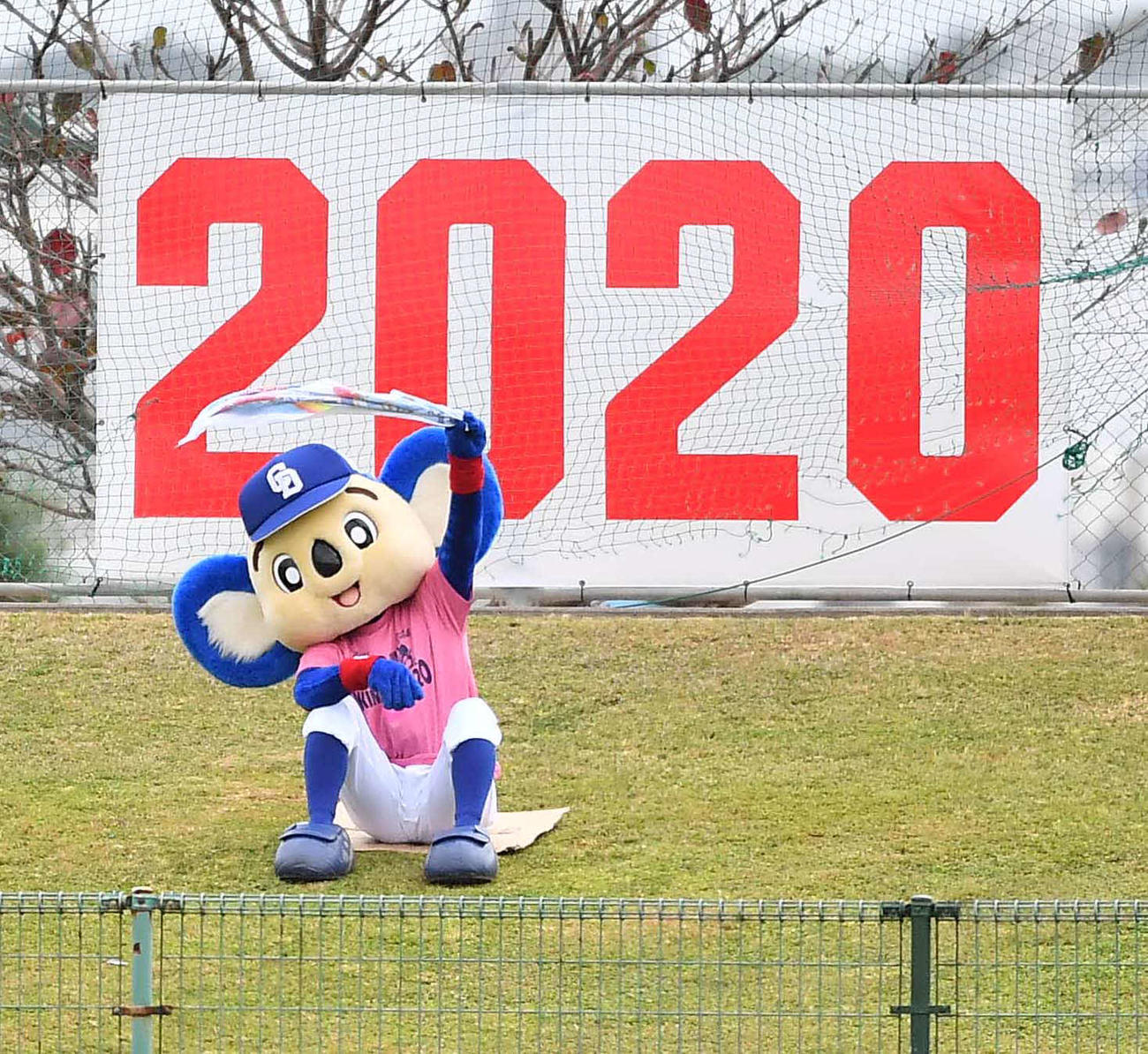 中日対ロッテ練習試合　外野で応援するドアラ（撮影・上田博志）
