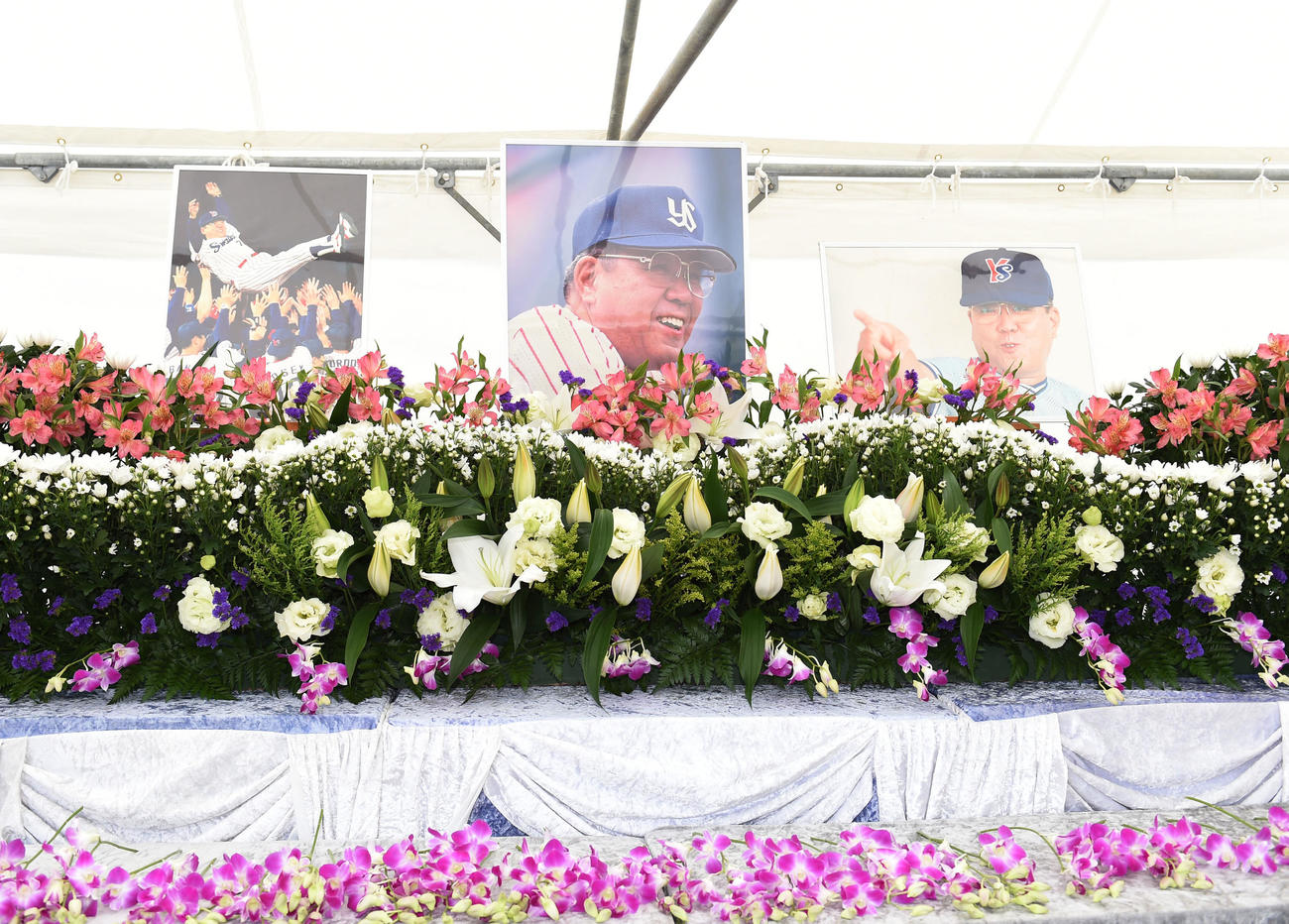 野村克也さんを偲び設置された献花台（撮影・横山健太）
