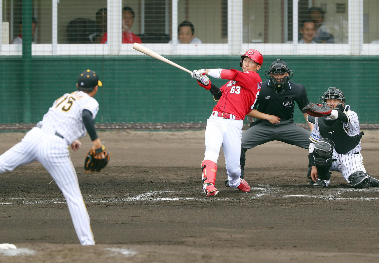 練習試合阪神対広島　3回表広島1死、先制の右越え本塁打を放つ西川。投手横山（撮影・前田充）