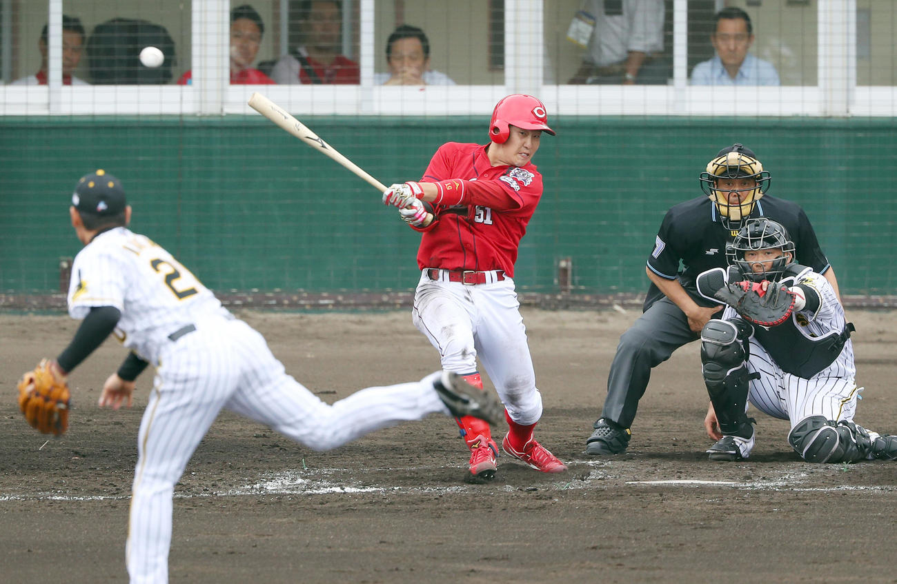 練習試合　阪神対広島　4回表広島無死、右前打を放つ小園。投手中田（撮影・前田充）