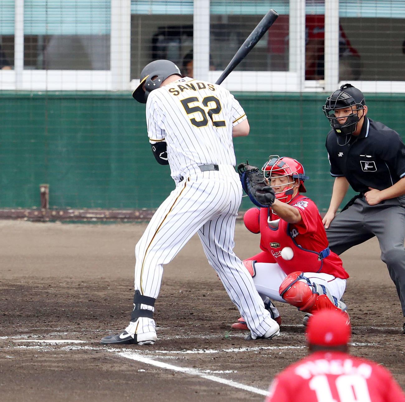 阪神対広島　3回裏阪神1死一、三塁、サンズは死球を受ける（撮影・加藤哉）