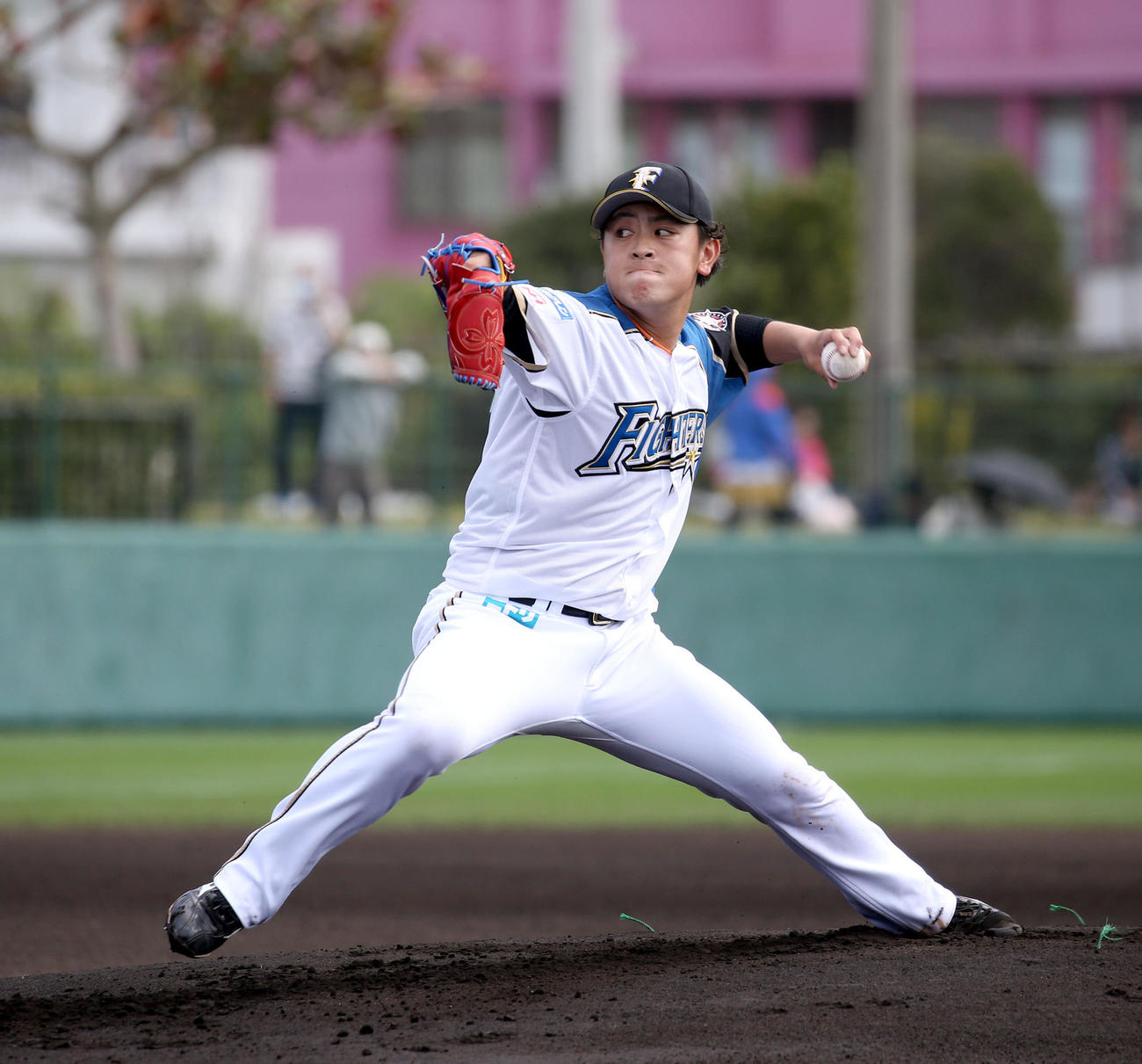 紅組対白組　白組先発の日本ハム河野（撮影・佐藤翔太）