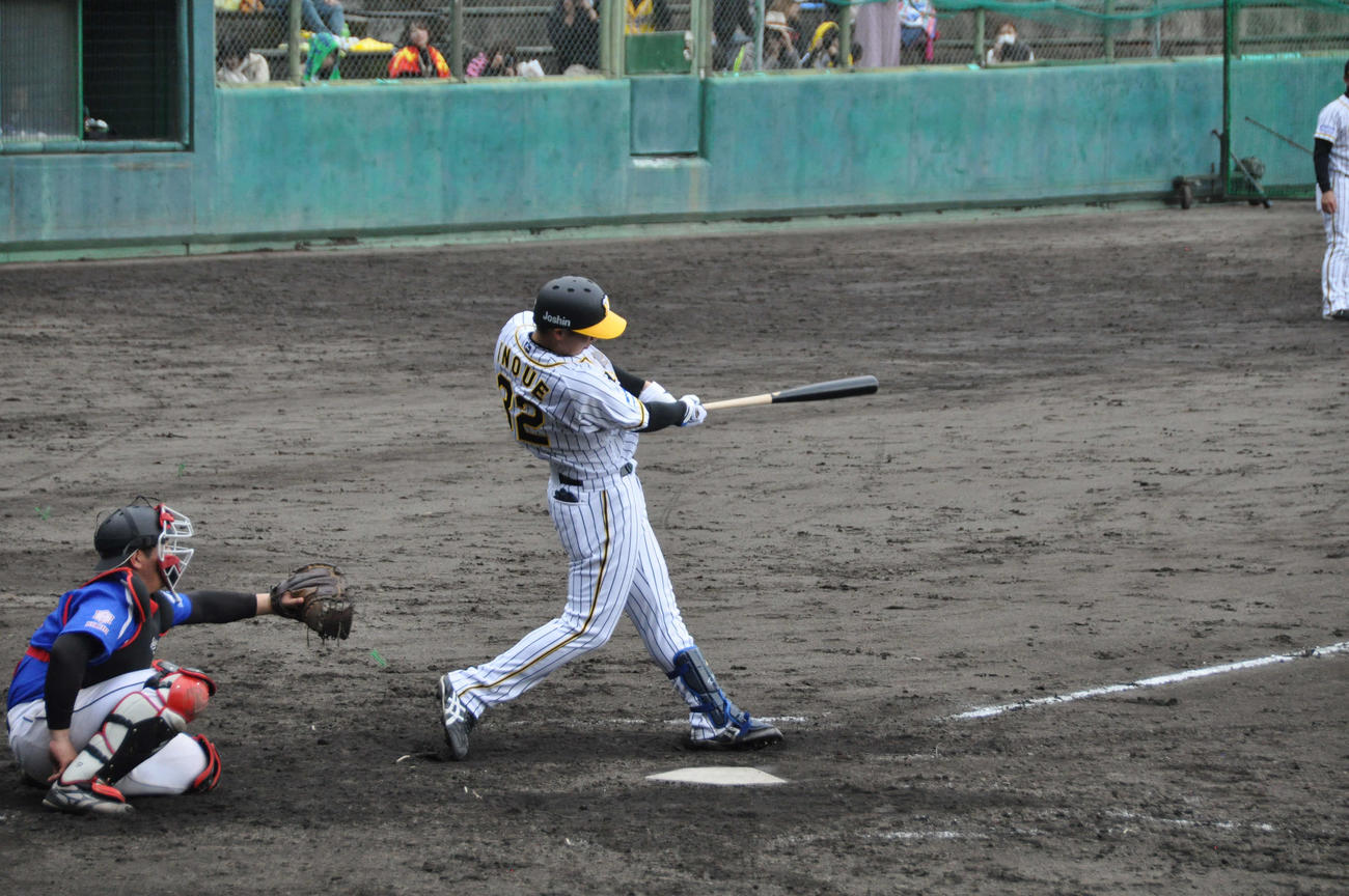 四国銀行との練習試合、4回裏阪神1死二塁、代打井上は初球を捉え、左越え2点本塁打を放つ（撮影・石橋隆雄）