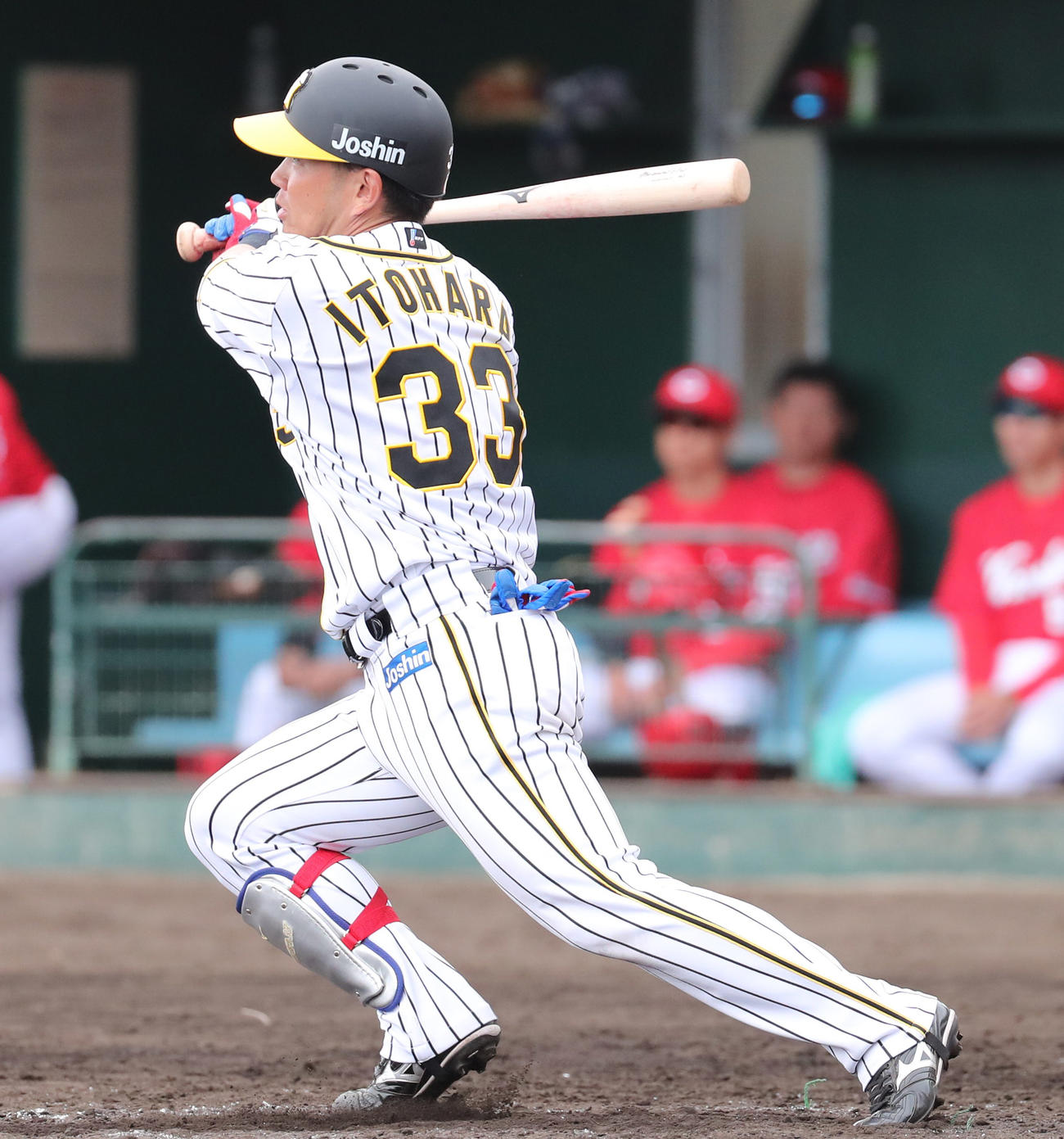 練習試合阪神対広島　5回裏阪神1死一塁、右前打を放つ糸原（撮影・清水貴仁）