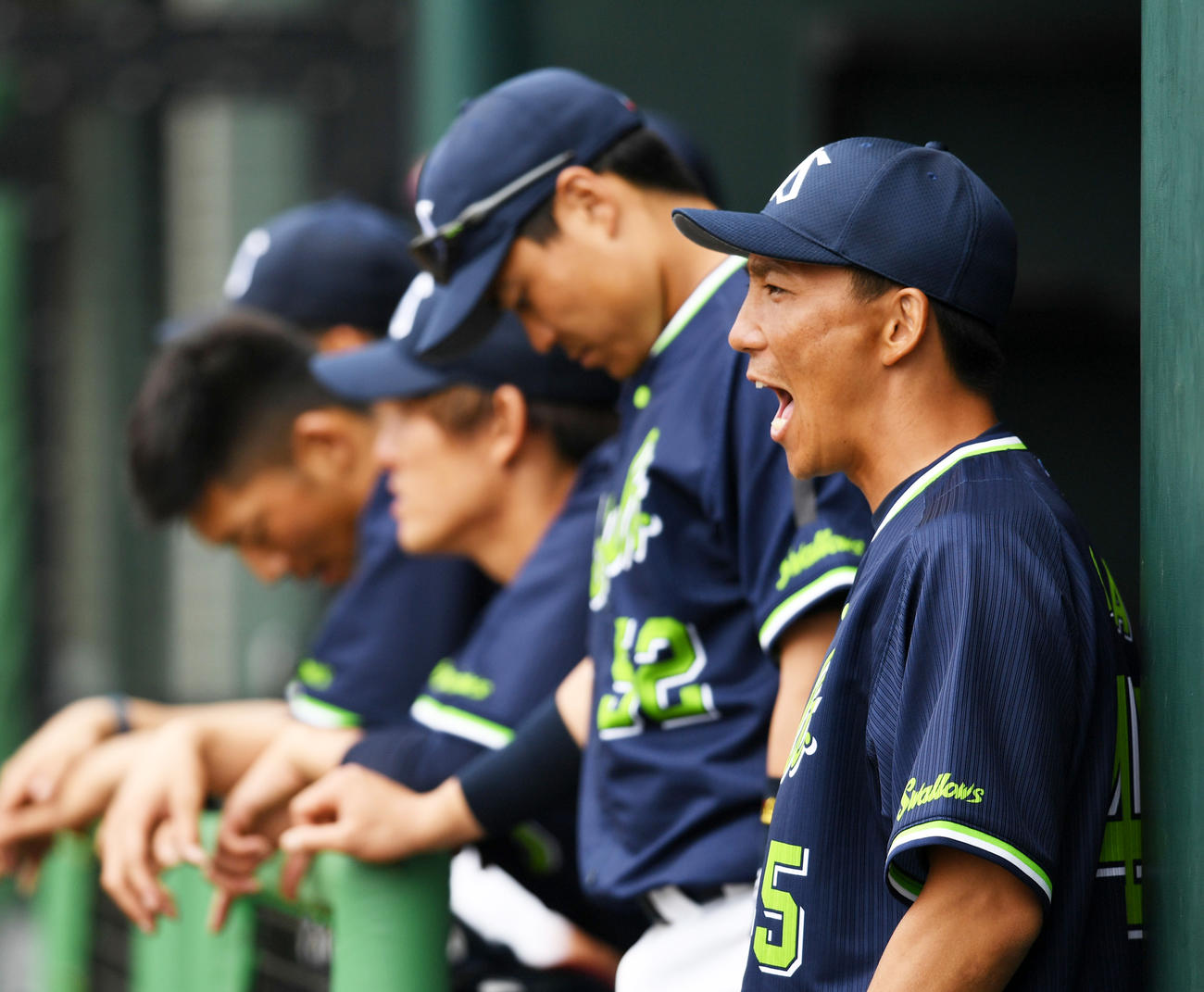 大声を出しチームを鼓舞するヤクルト嶋（撮影・横山健太）