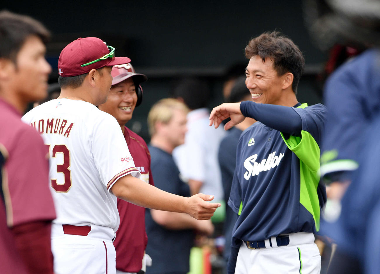 試合前練習で野村1軍作戦コーチ（奥左）と話すヤクルト嶋（奥右）（撮影・滝沢徹郎）