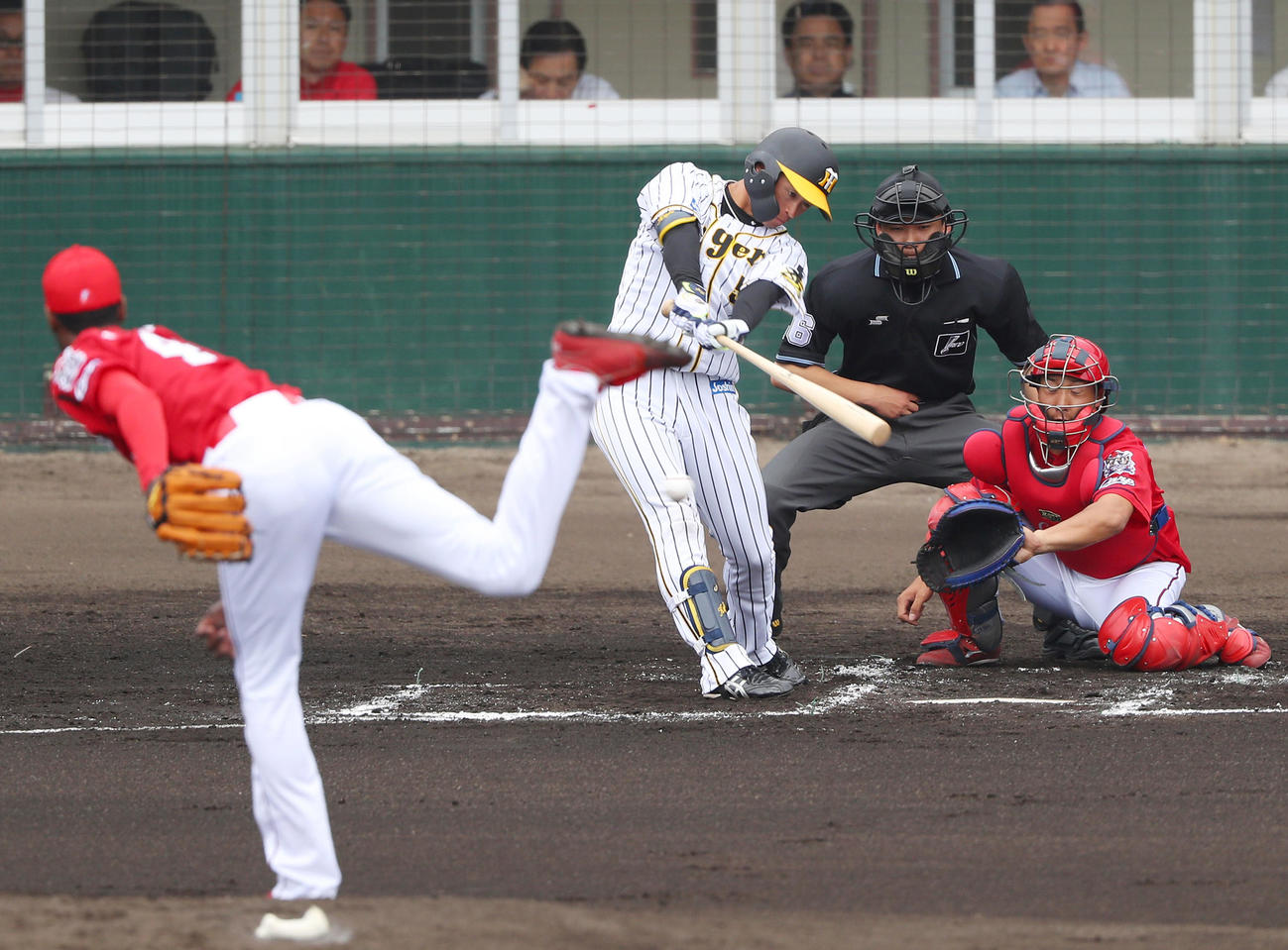 練習試合阪神対広島　1回裏阪神1死、右前打を放つ近本（撮影・前田充）
